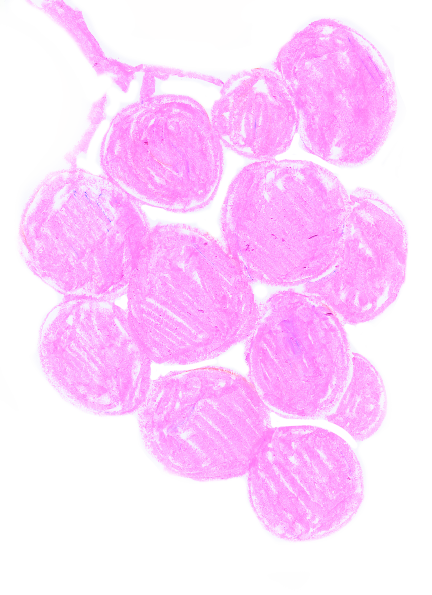 Handzeichnung einer rosafarbenen Weinrebe